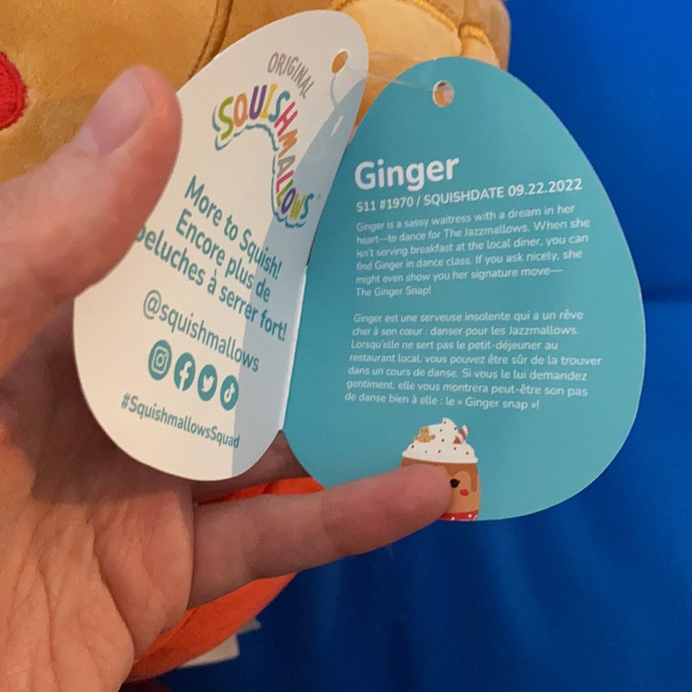 Original Squishmallows Named Ginger Size 11 “ Inch Gingerbread Latte NWTS - Picture 7 of 11